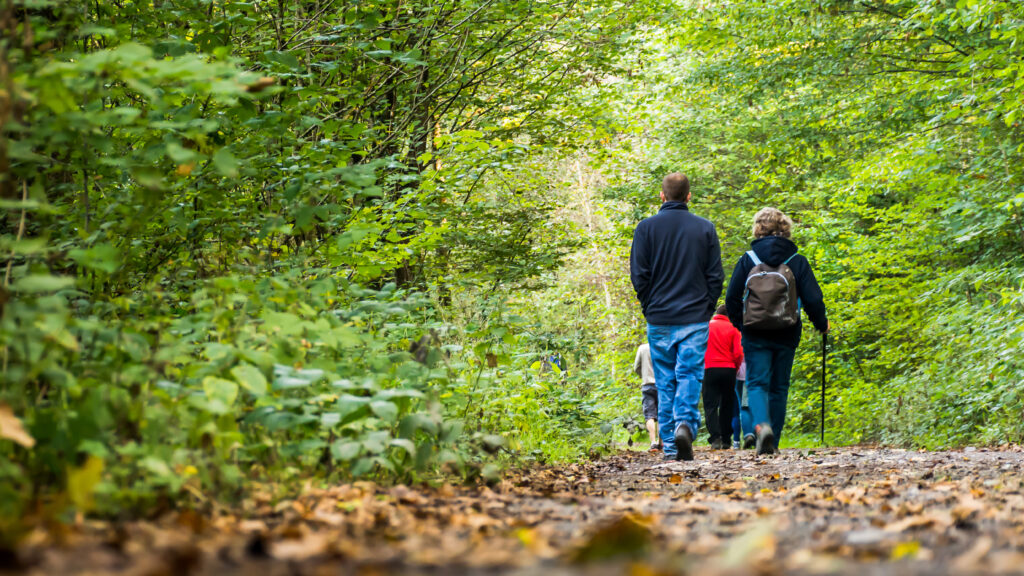 Wandern im Teutoburger Wald bei der schönen Aussicht