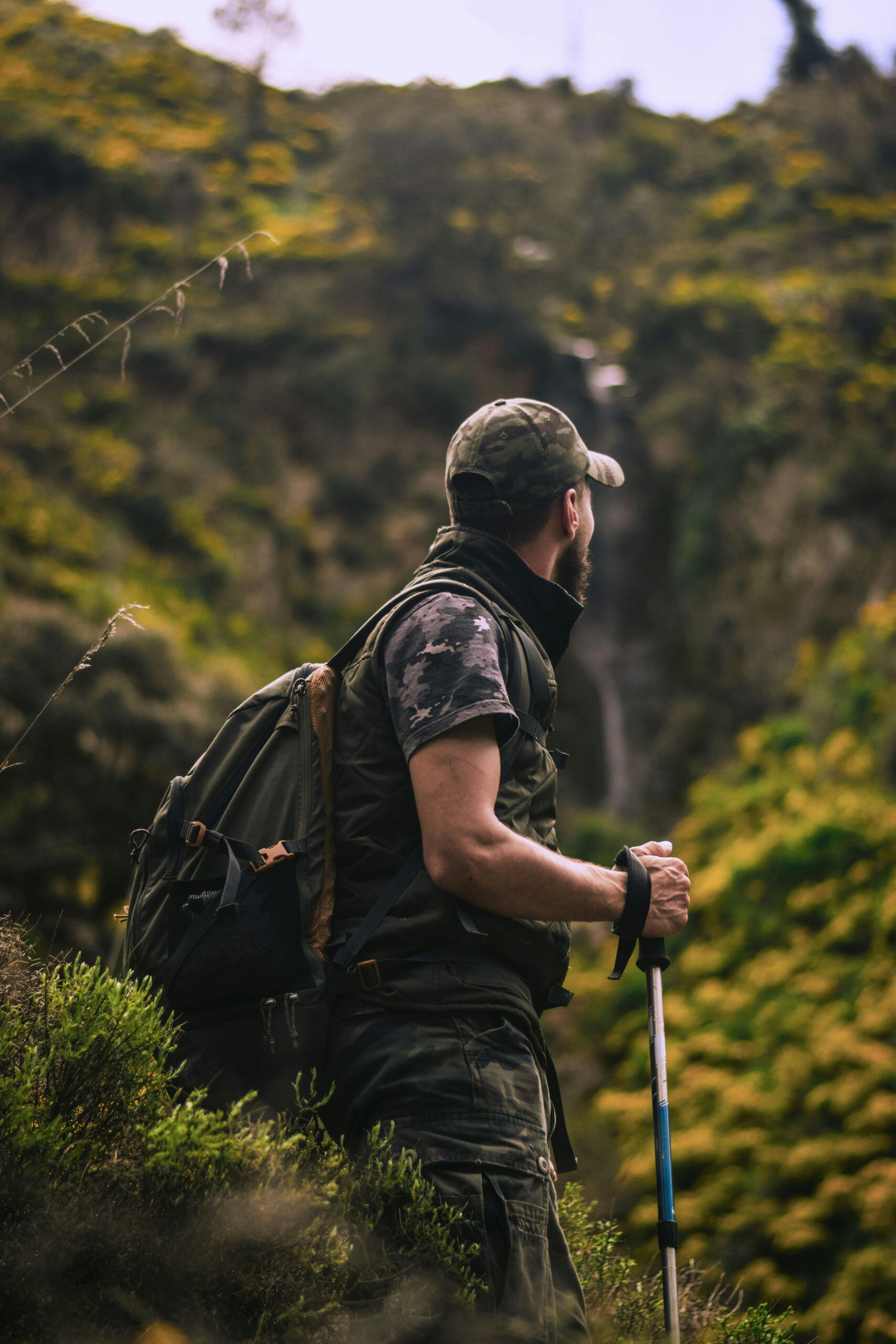 Waldweg im Teutoburger Wald – Wandern & Radfahren